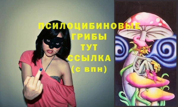 дживик Горно-Алтайск