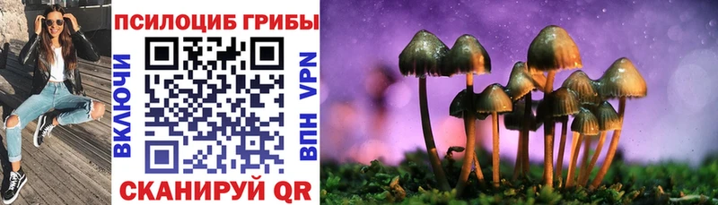 Купить  Каменка  Галлюциногенные грибы мухоморы 